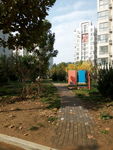 小区景色