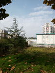 小区景色