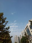 蓝天