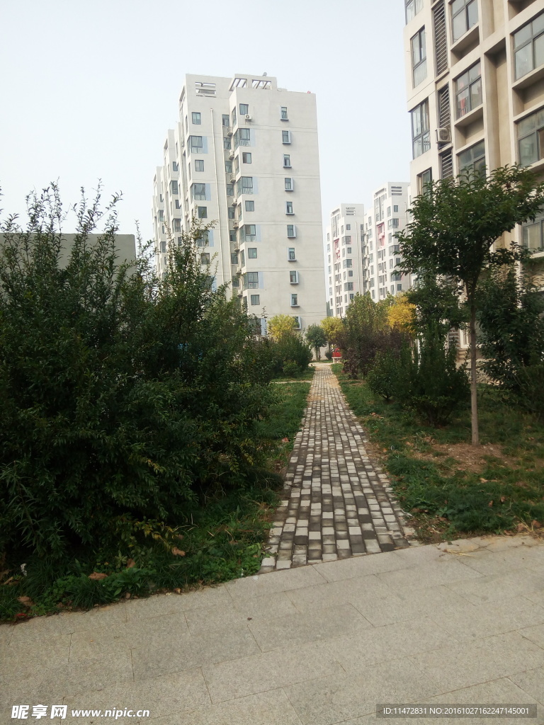 小区景色