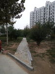 小区景色