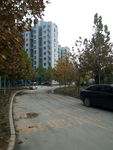小区景色