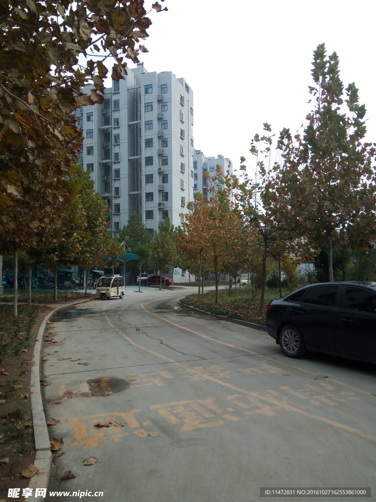 小区景色