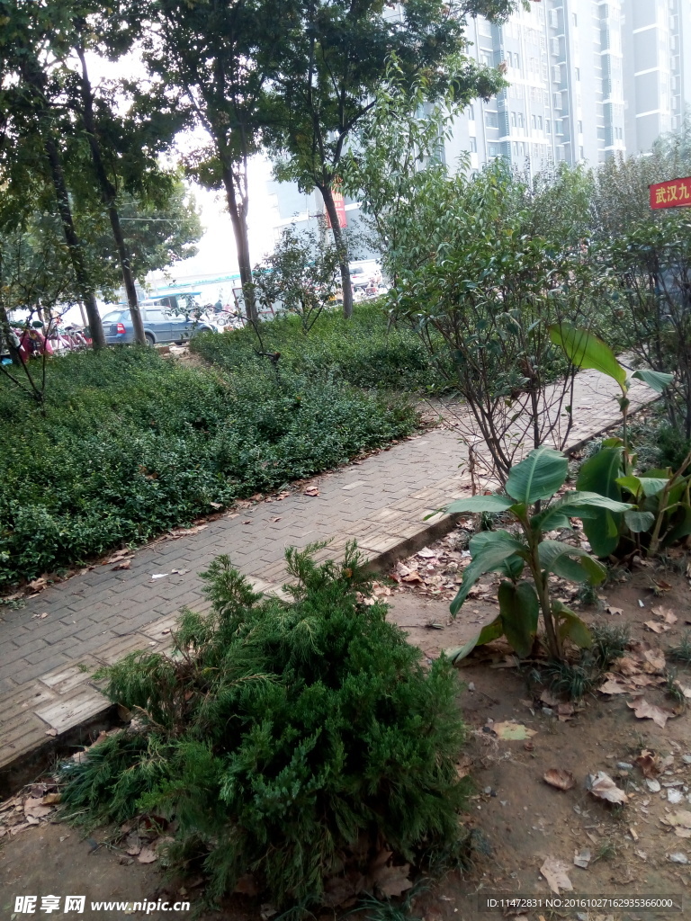 小区景色