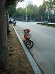 道路