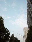 小区景色