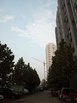小区景色