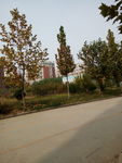 道路