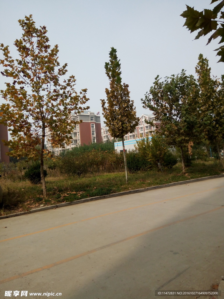 道路