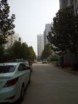 小区景色