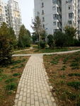 小区景色