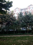 小区景色