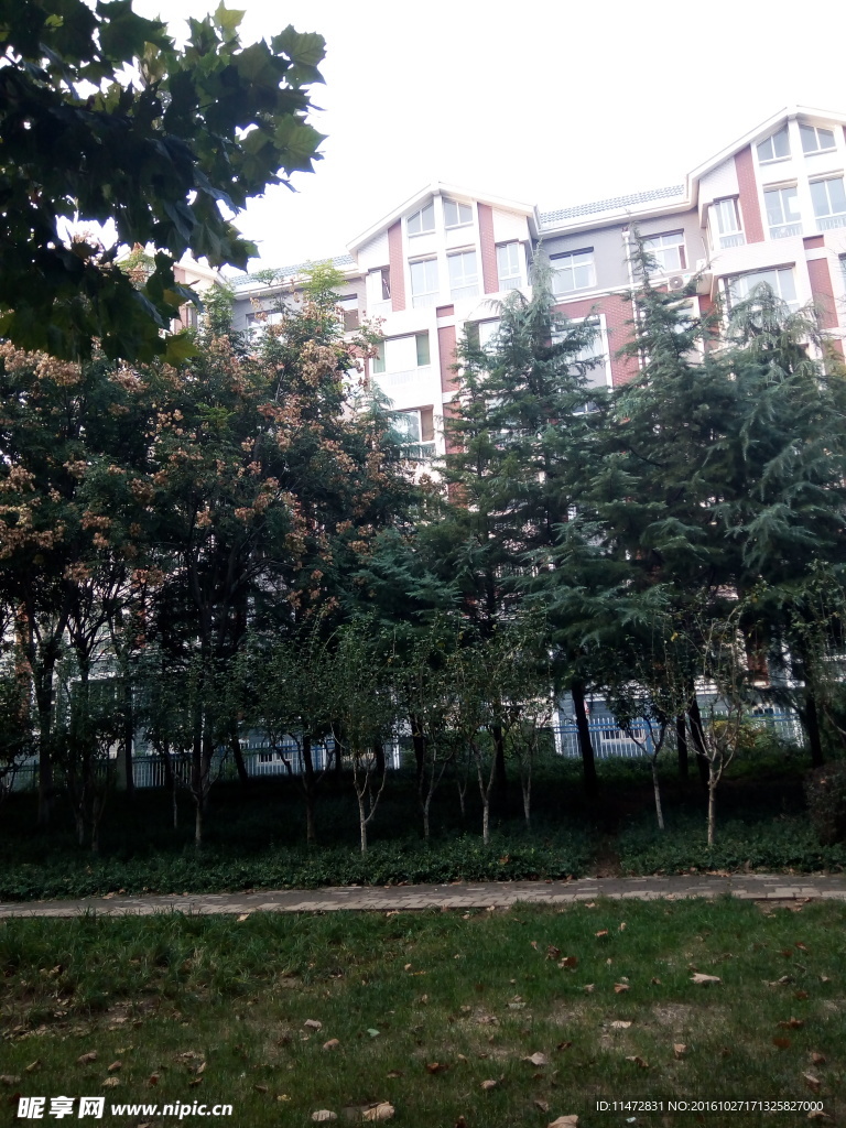 小区景色