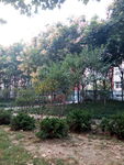 小区景色