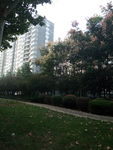 小区景色