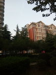 小区景色