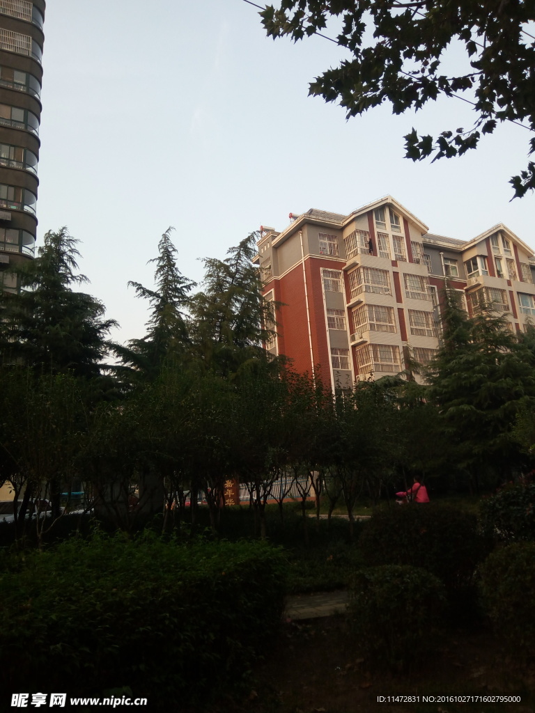小区景色