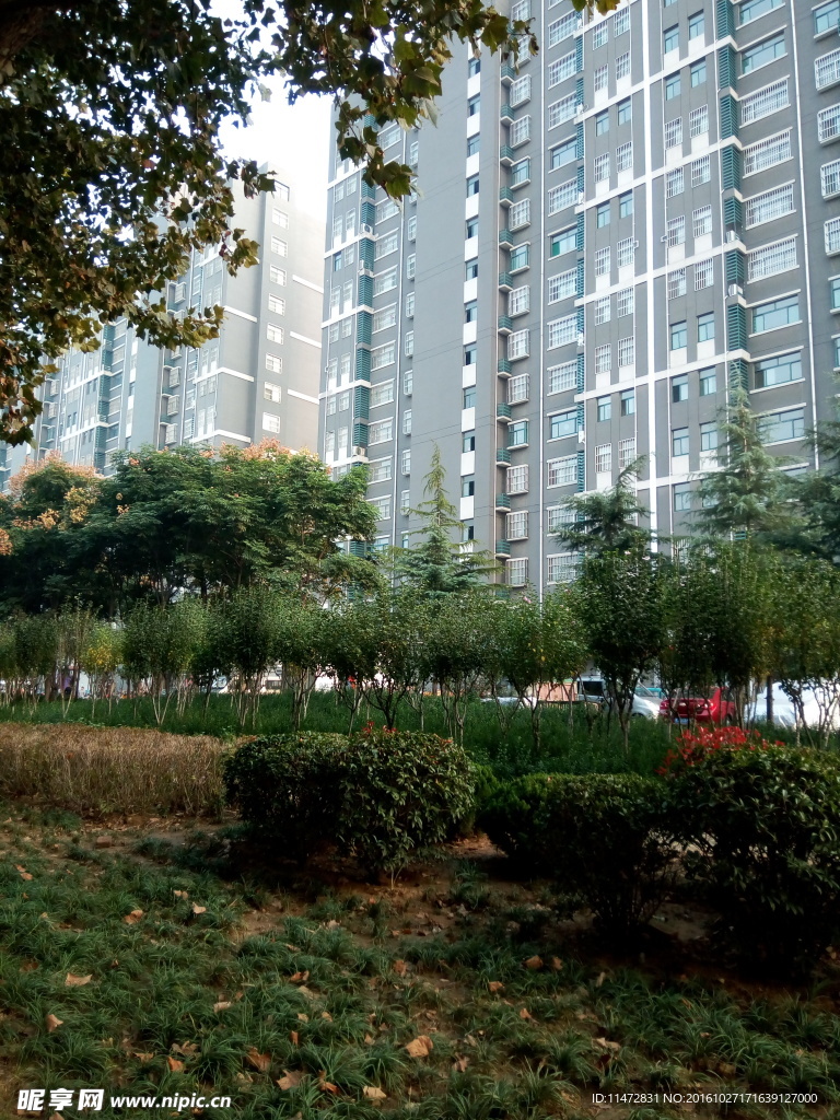 小区景色