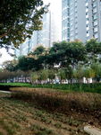 小区景色