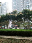 小区景色