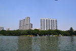 公园
