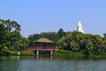 公园一景