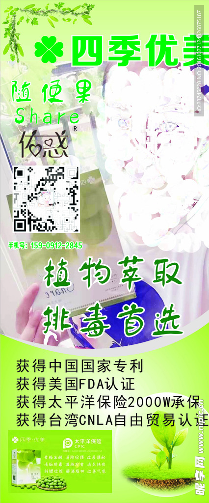 展架绿色