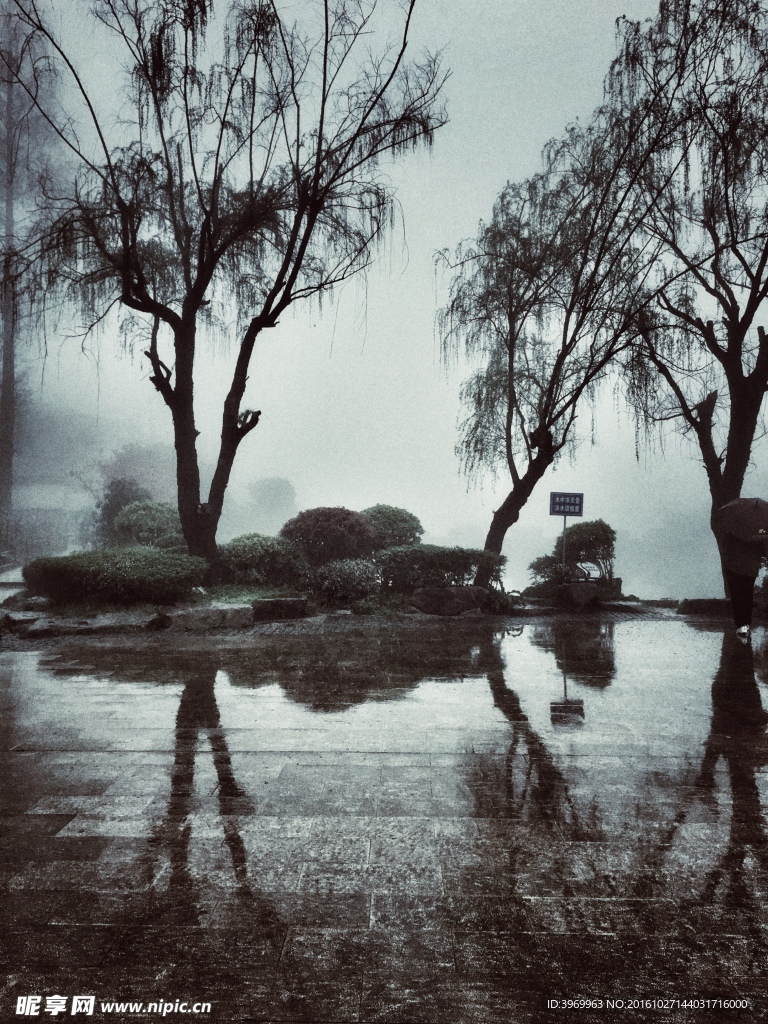 雨后九华山