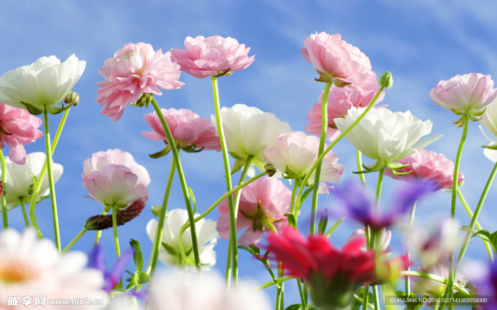 花
