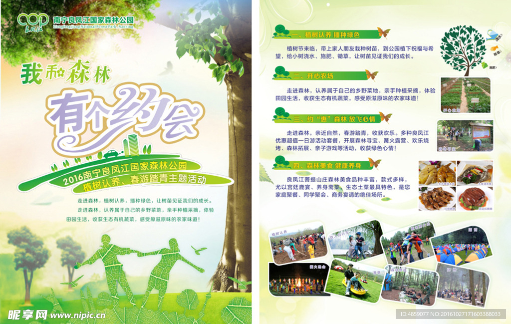 森林旅游宣传单