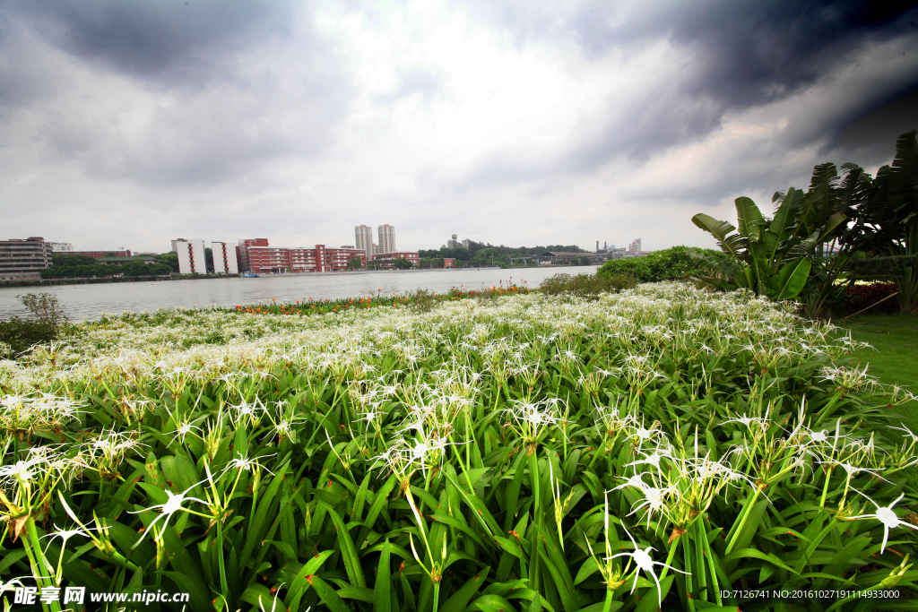 珠江新景