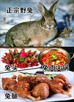 兔子 兔肉火锅 兔头 兔腿