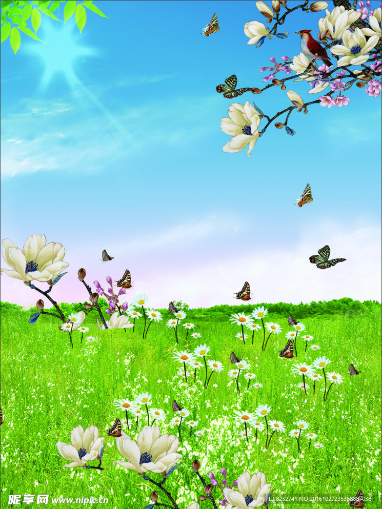 迎春花 蝴蝶 草地 蓝天 风景