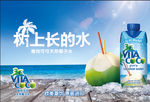 树上长的水