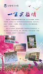炫彩展板