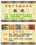 中药材批发 名片