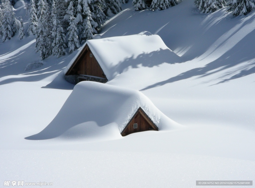 大雪覆盖了房屋