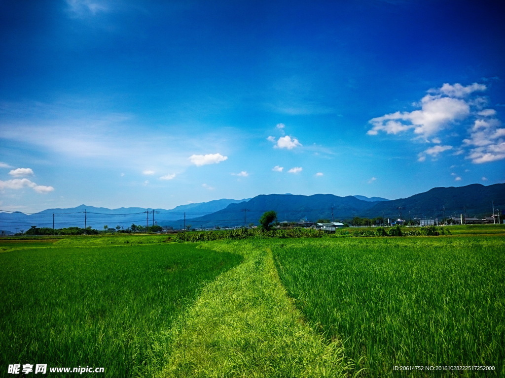 乡村风景