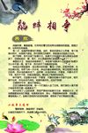 成语典故小故事
