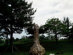 爱情公园