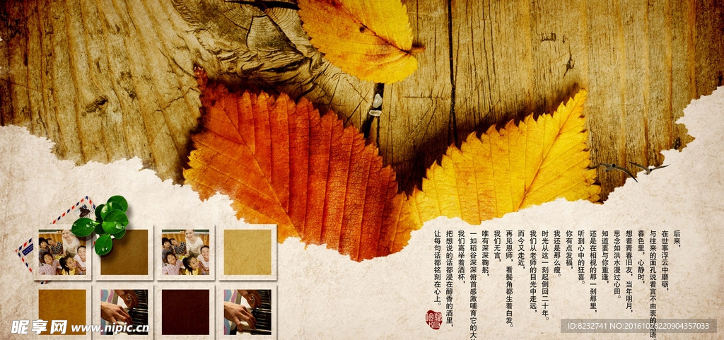 树叶 复古 做旧 相册 木纹