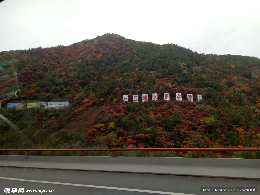 山中秋景