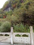 山中景观