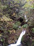 柞水牛背梁山中秋景