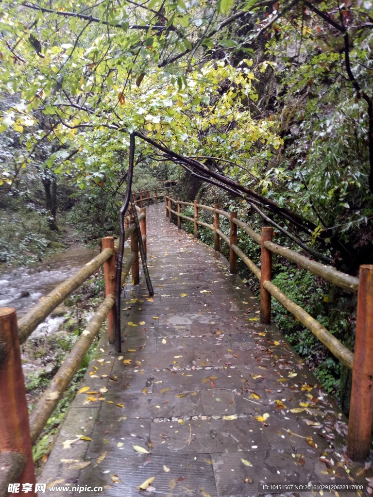 雨天山景