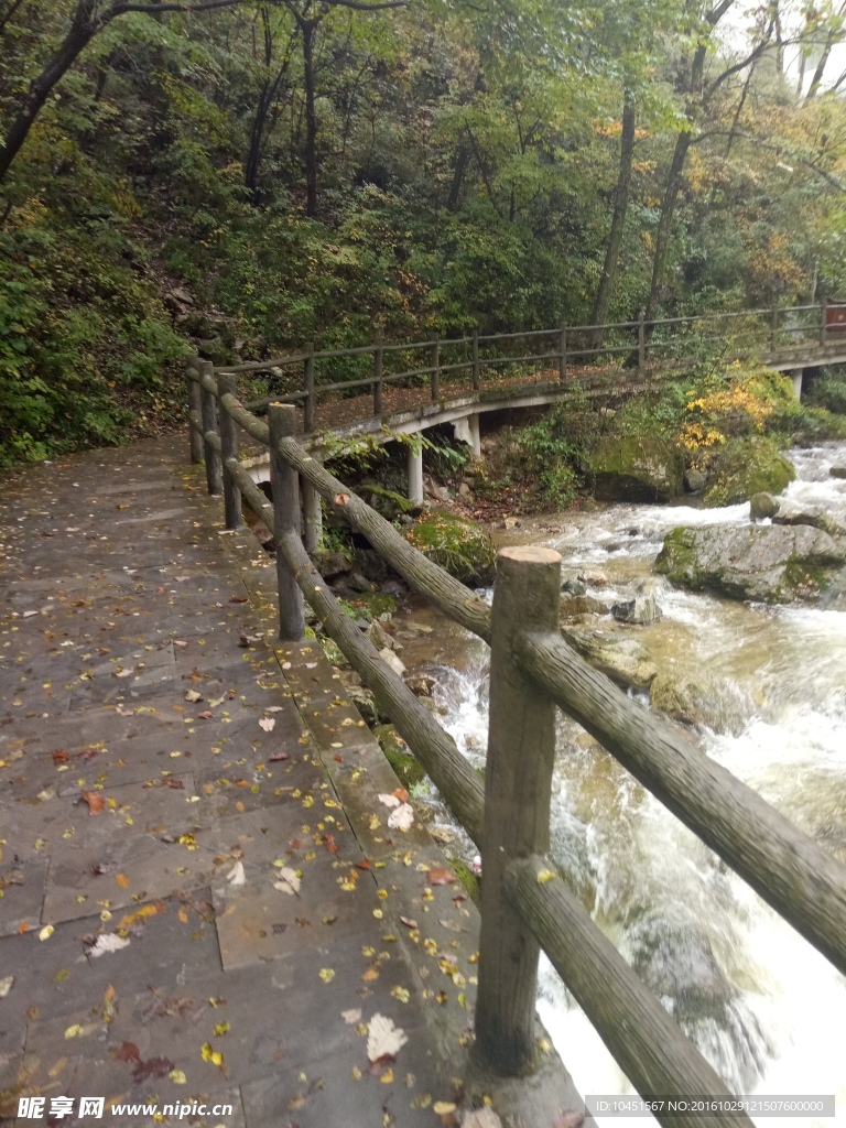 柞水牛背梁山中秋景