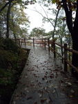 山路