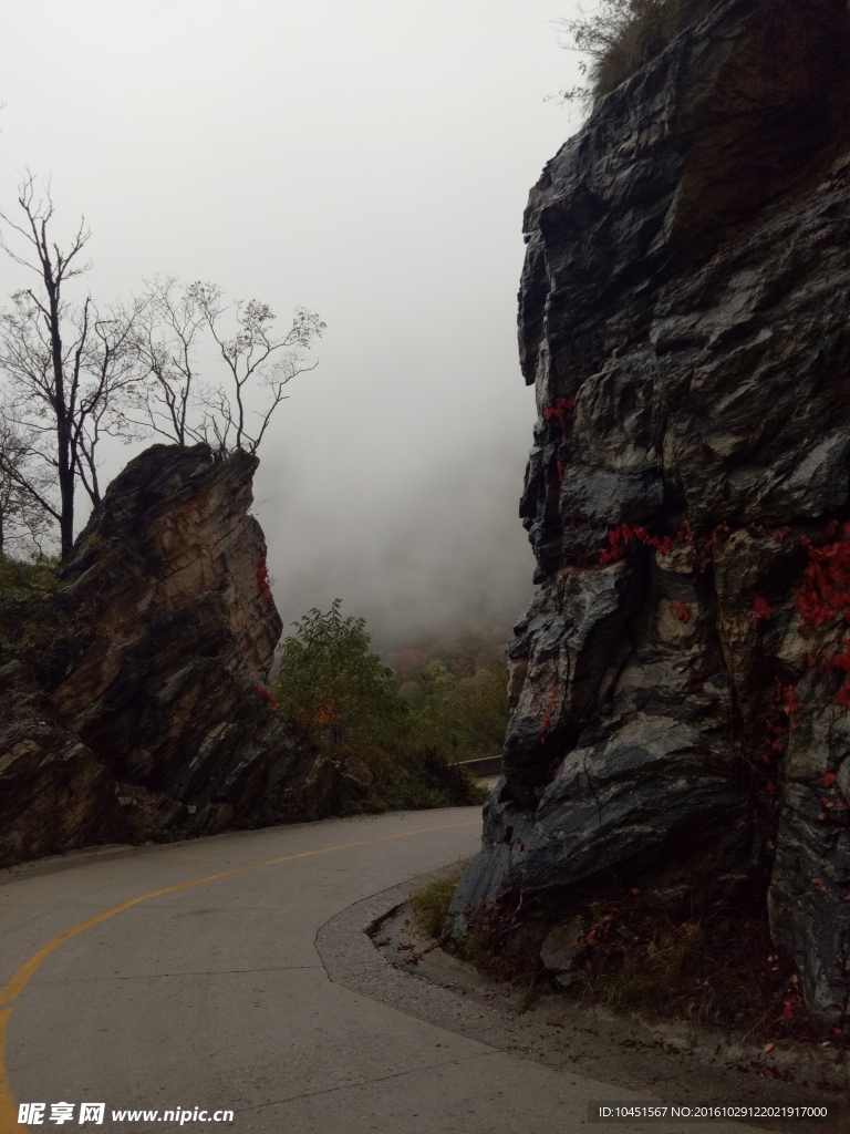 柞水牛背梁山中秋景