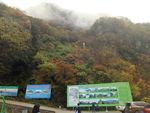 山中景观