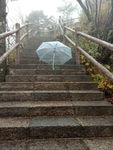 山中秋景阶梯